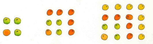 Appelsiner lagt i kvadrater. Første kvadrat har 4 appelsiner, andre har 9 og siste har 16.